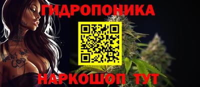 стаф Гусиноозёрск