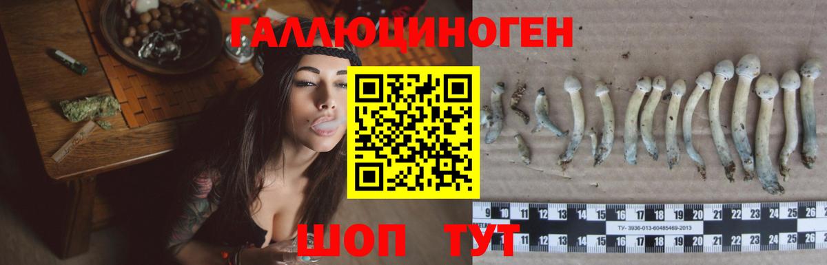 Нижневартовск  Псилоцибиновые грибы прущие грибы  Псилоцибиновые грибы MAGIC MUSHROOMS  Вход с VPN 
